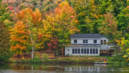 A house nearby lake