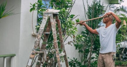 How to Find Good House Painters