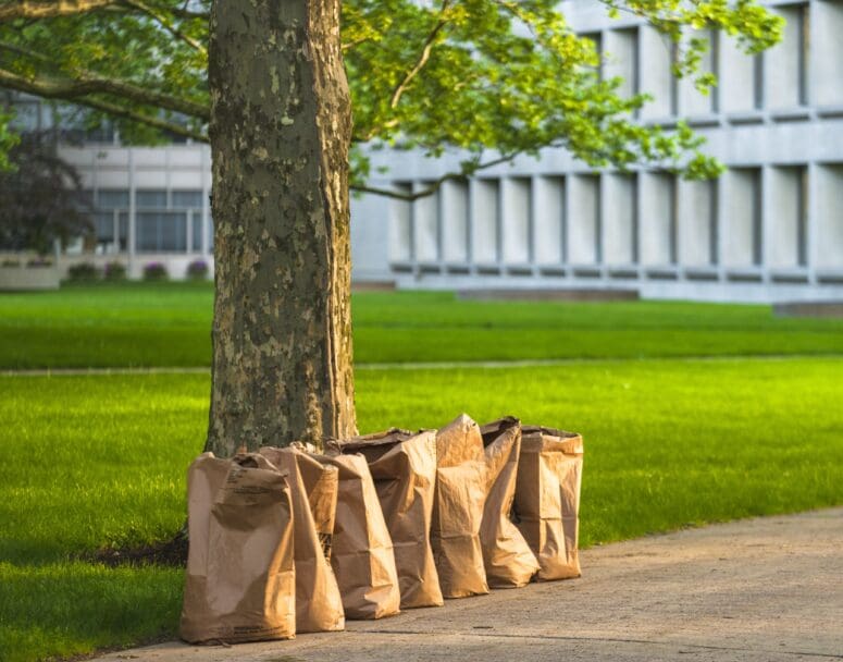 how to add curb appeal dispose of yard waste