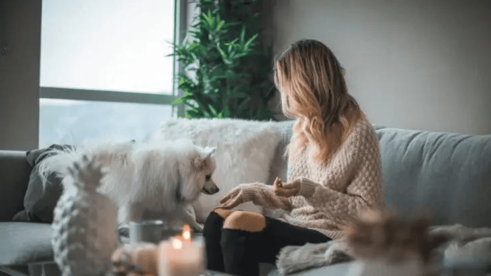 Selling a House With a Tenant Living There: What Are Your Options?