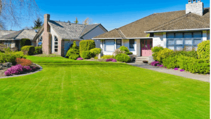 A front yard with curb appeal.