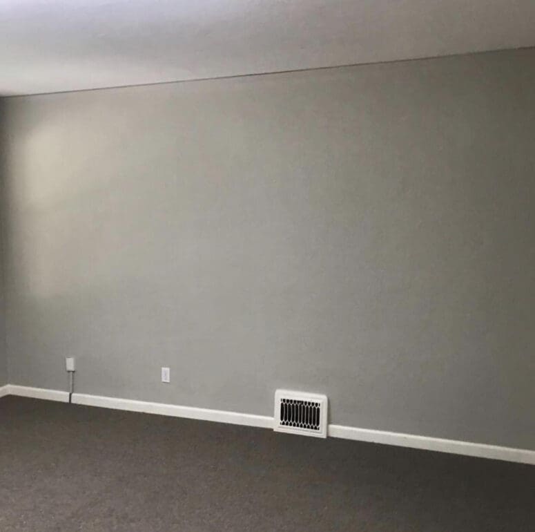 A before staging photo.