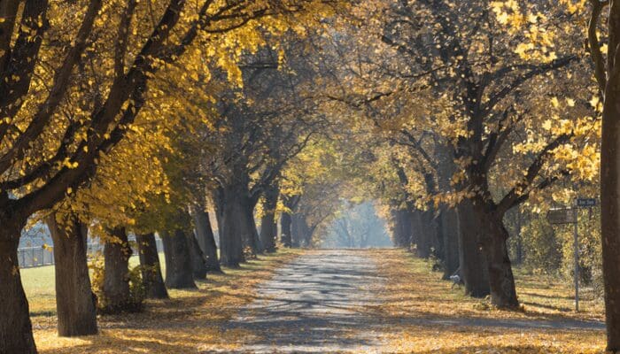 Autumn, the best time to work with contractors.