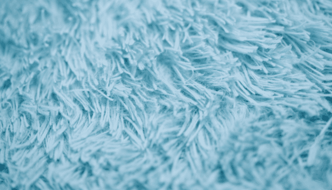 Shag carpet that needs to be replaced to increase home value.