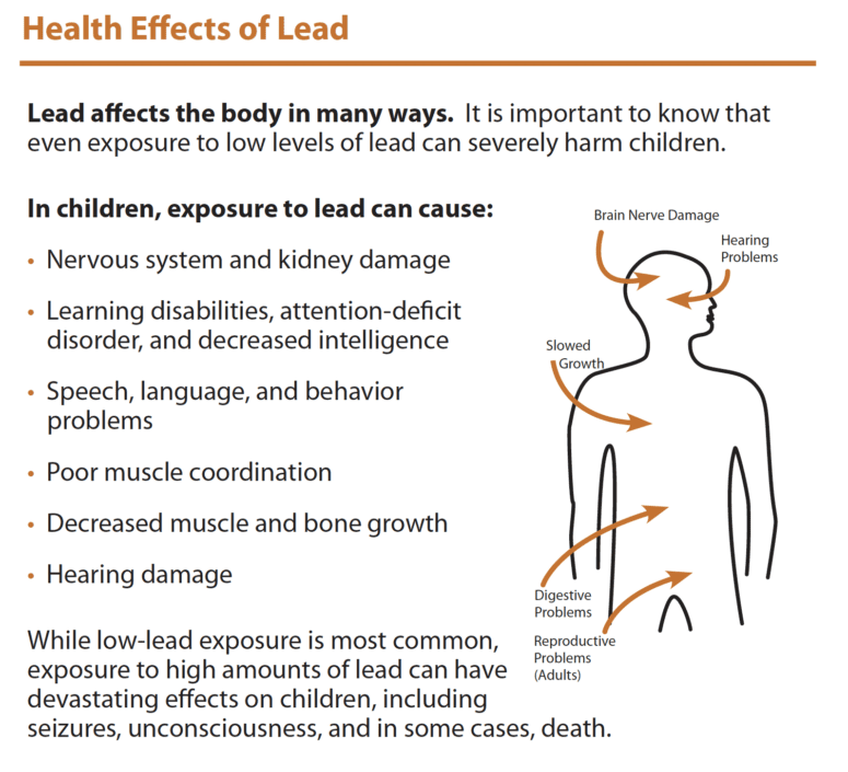 An infogrphic on the health effects of lead.