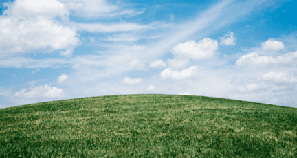 A sloped backyard behind a house for sale.
