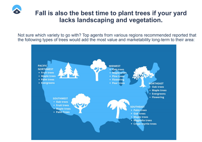 An infographic that shows popular curb appeal plants.