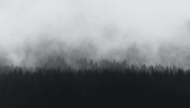 A gray area representing capital improvements.