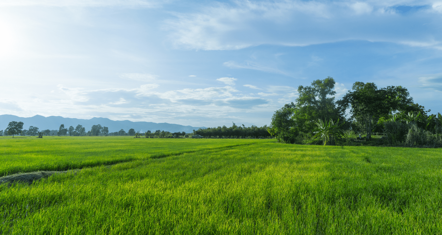 Land Appraisals: A Behind-the-Scenes Look at Valuing Acreage