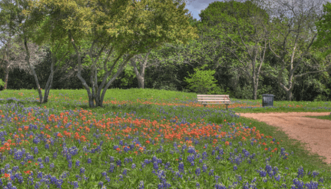 Landscaping is important to sell house fast in Waco