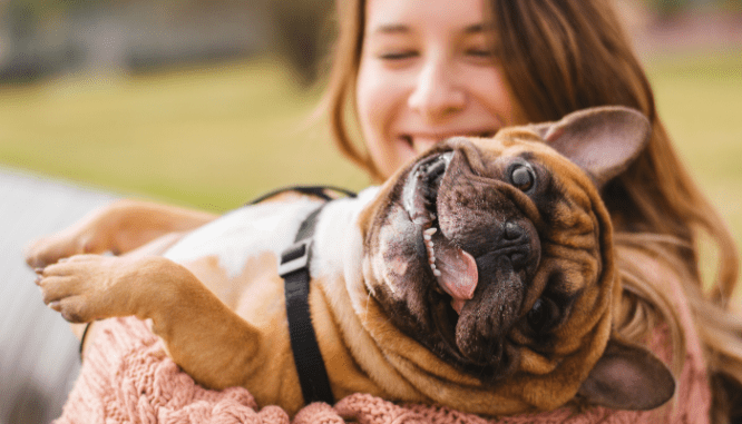 hoa rules could restrict the number of pets