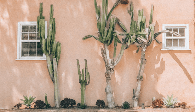 A house you can buy in El Paso.