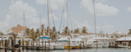 A group of boats in Key West, where you can buy a house.