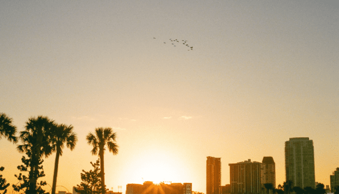 A skyline of West Palm Beach, where you can buy a house.