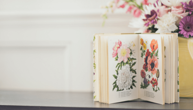 A books with flowers that fit the grandmillennial style.
