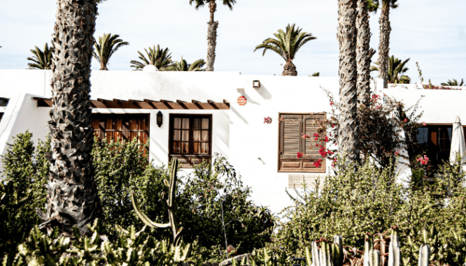 An image of a Mediterranean house with palm trees.