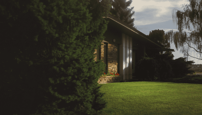 An image of a house with trees to demonstrate what withdrawn means on an MLS listing.