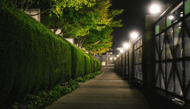 A hedge that is maintained using hoa dues.
