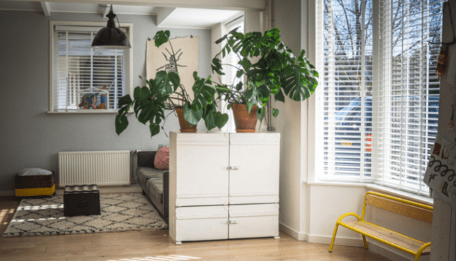 An image of a living room to demonstrate the process of home window replacement.