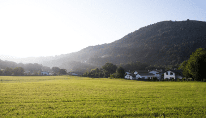 An image of a field to depict what a gentleman's farm is.