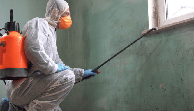 A pest inspect that is inspecting a house with a mortgage loan.