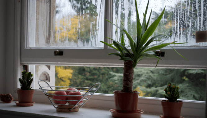 An open window, which might be hard to close if your house isn't settling correctly.