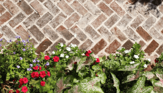 Bricks formed into a pathway near landscaping.