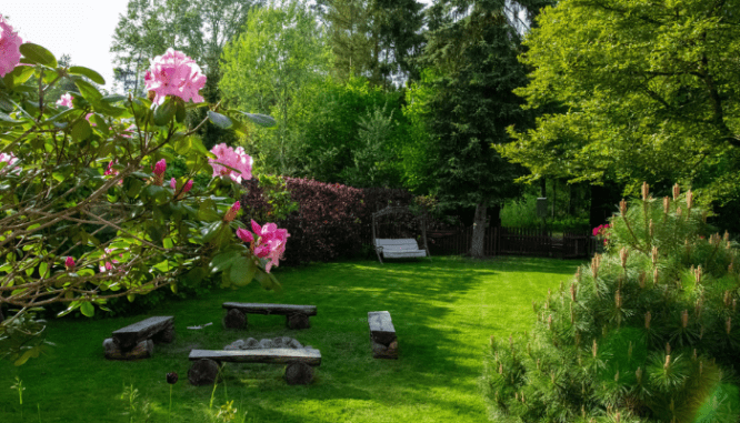 A cleaned-up backyard that is a great exterior home improvement.