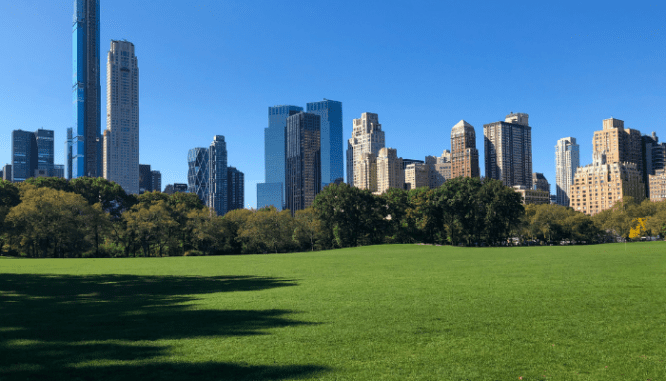 A city park, one of the benefits of city living.