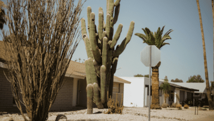 Houses that homeowners might sell to we buy houses companies in Chandler