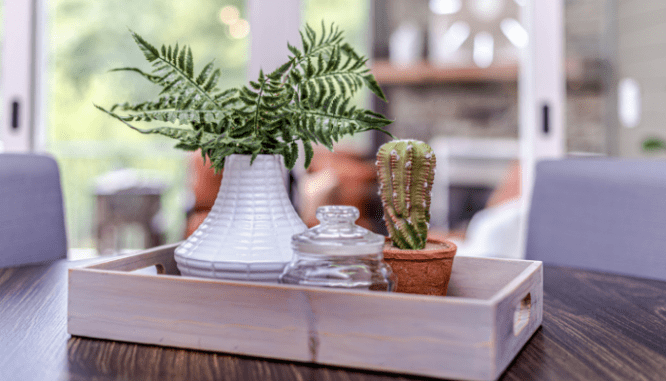 A tray with staged items at an open house.
