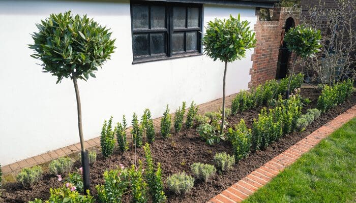 A photo of someone's garden in a house prepared for sale