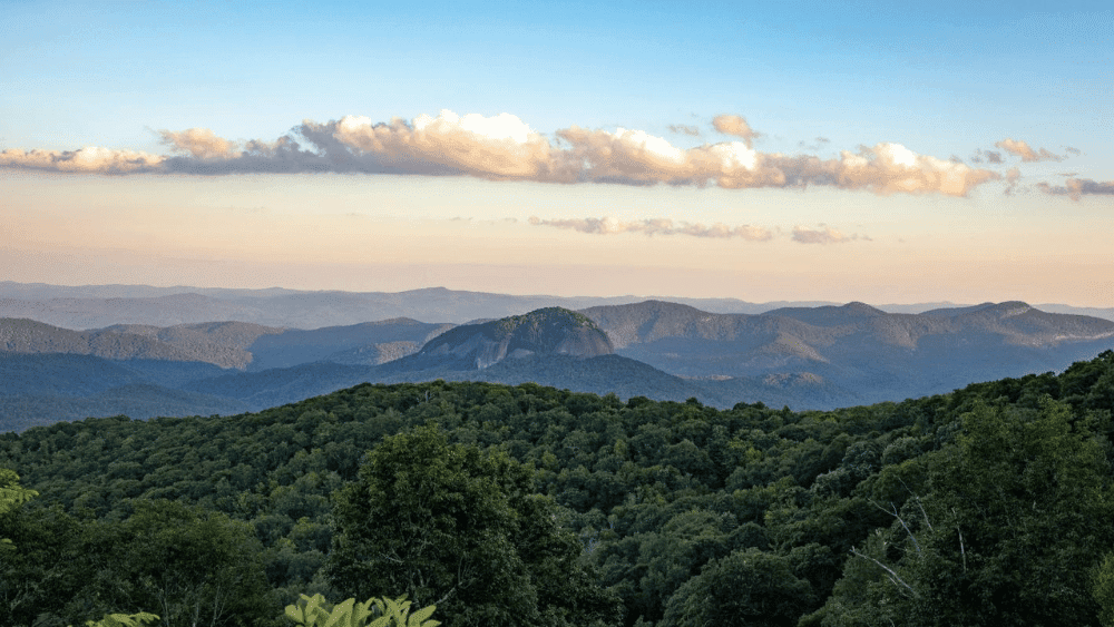 Selling a House As-Is in North Carolina