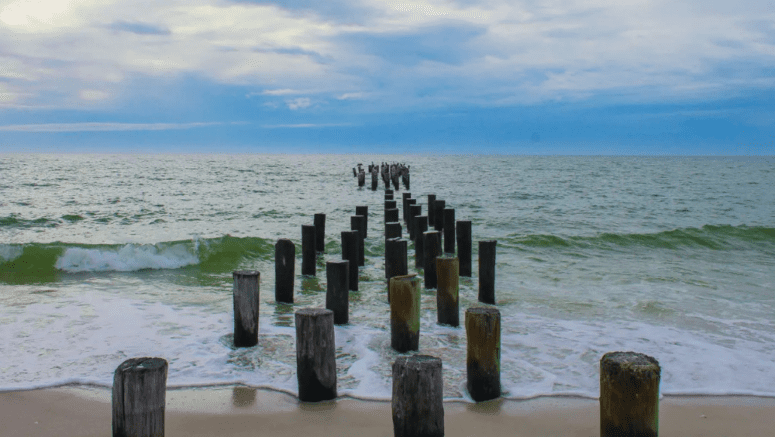 Florida, near a cheap house you can buy.