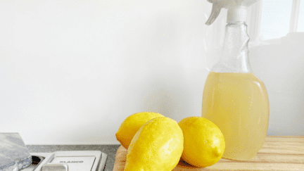 A homemade cleaner to deodorize a house