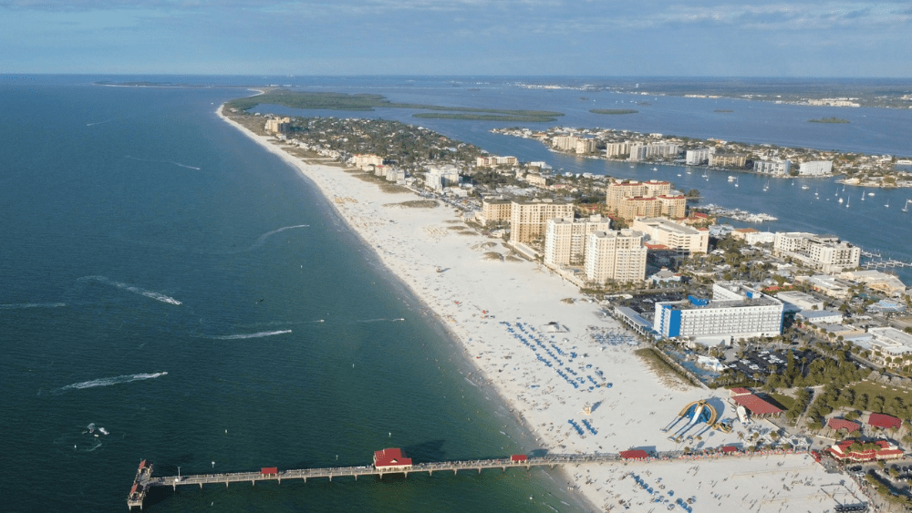 7 Flat Fee MLS Companies in Clearwater