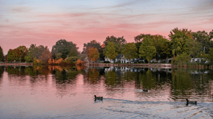 View of houses that could sell to cash home buyers in Michigan
