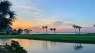View of a beach and palm trees in what might be one of the best 55 plus communities in Florida.