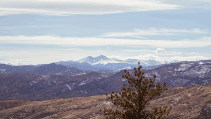 Fort Collins, where home sellers can work with an estate sale company prior to listing