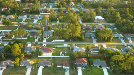 Aerial view of suburban landscape with private homes between green palm trees in Florida quiet residential area