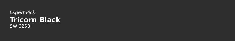 Door Paint Color-Tricorn Black