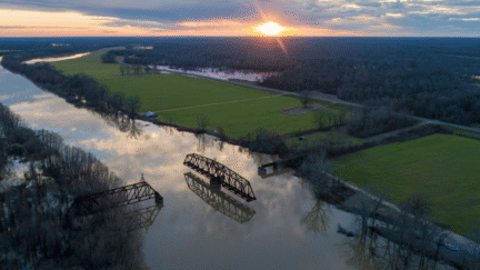 Petal, where home sellers can work with a we buy houses company