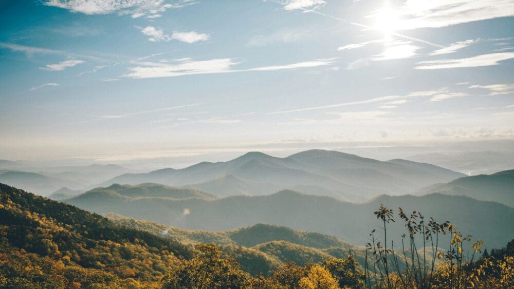 We Buy Houses Rocky Mount, NC: Top 5 Companies